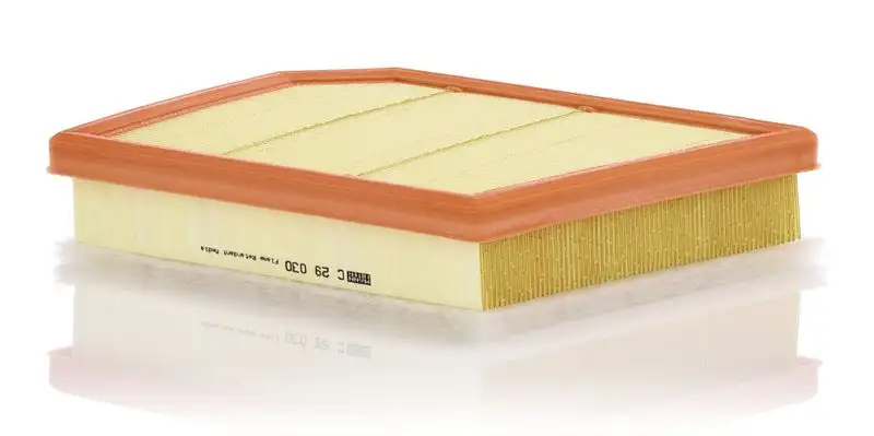 MANN C29030 Hava Filtresi 13718480931 resmi