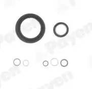 PAYEN EG7950 Motor Takım Conta (Alt) 7701475822 resmi