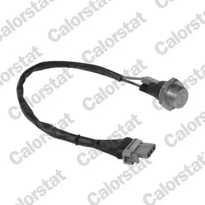 CALORSTAT VERNET TS1958 Fan Müşiri resmi