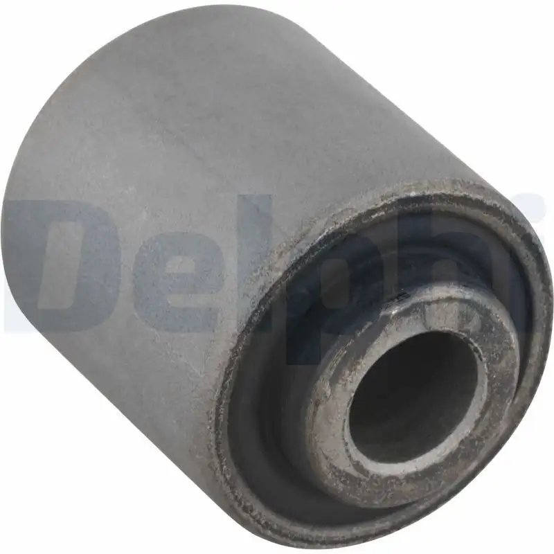 DELPHI TD1502W Salıncak Burcu RGX101020 resmi