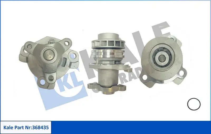 KALE 368435 Devirdaim resmi