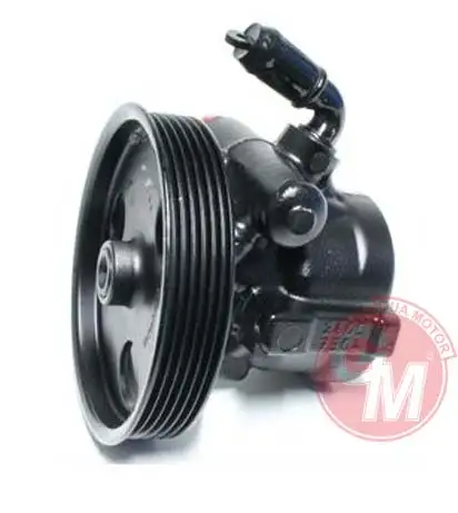 GUA 41557 Direksiyon Pompası 491100031R resmi