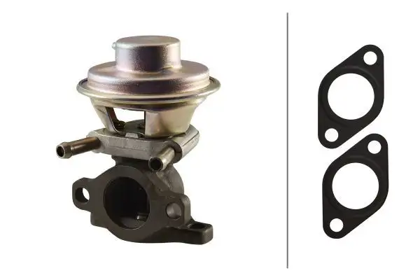 HELLA 6NU010171-481 EGR Valfi 71793031 resmi