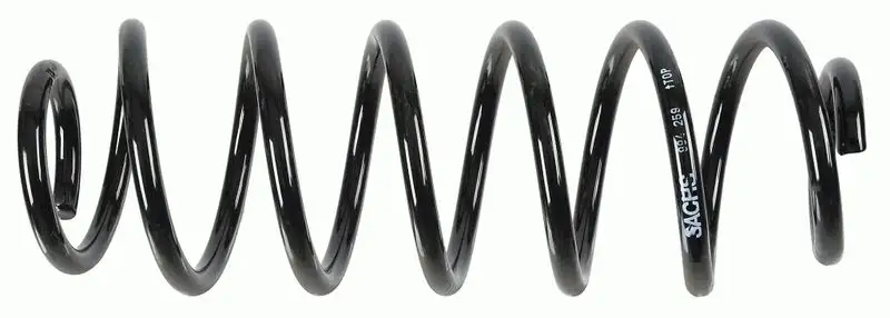 SACHS 994259 Arka Helezon Yayı 1523225 resmi