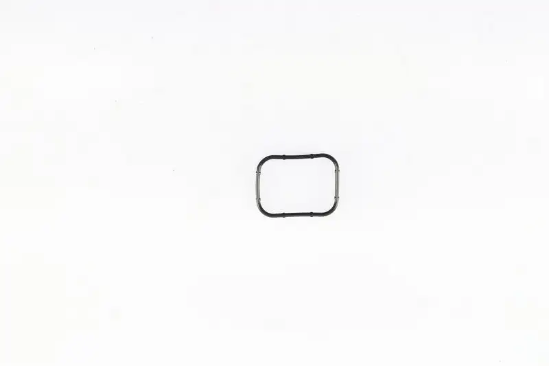 CORTECO 450365H (82950365) Emme Manifold Contası 0348S5 resmi