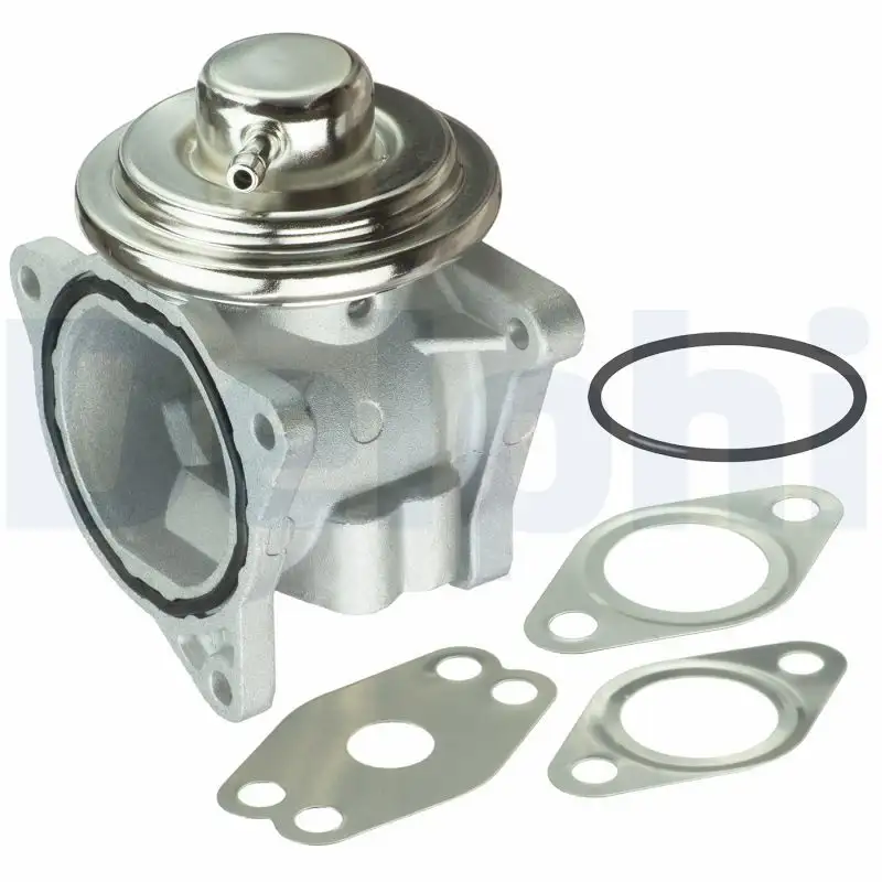 DELPHI EG10421-12B1 EGR Valfi resmi