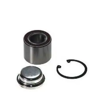 SNR GB35077 Arka Aks Rulmanı resmi