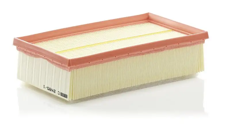 MANN C2485/1 Hava Filtresi 8200437229 resmi