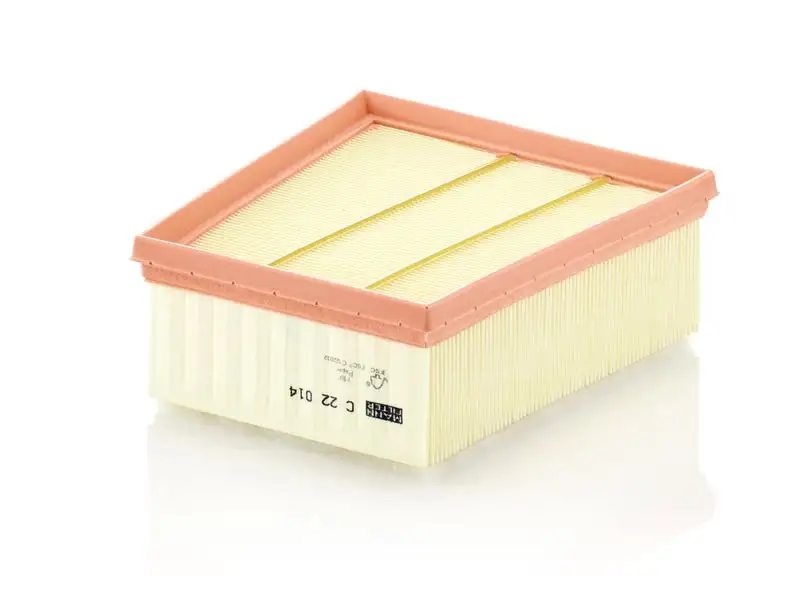 MANN C22014 Hava Filtresi resmi