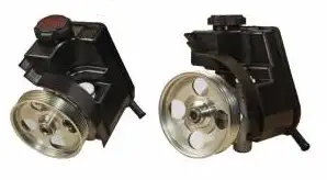 MOTORTEC DRP0025 Direksiyon Pompası resmi