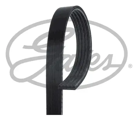 GATES ROADMAX 1750K5 Kayış resmi