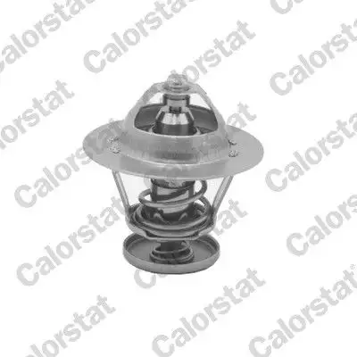 CALORSTAT VERNET TH5077.92J Termostat resmi