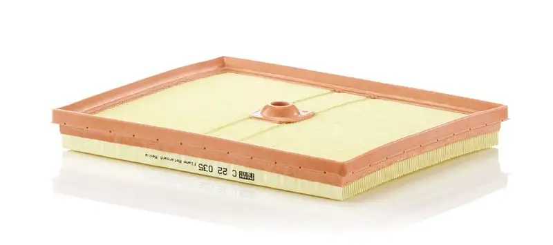 MANN C22035 Hava Filtresi 04C129620A resmi