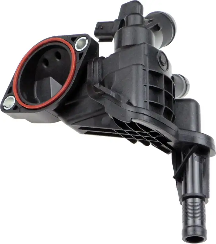 RAPRO R65102 Termostat 110616064R resmi