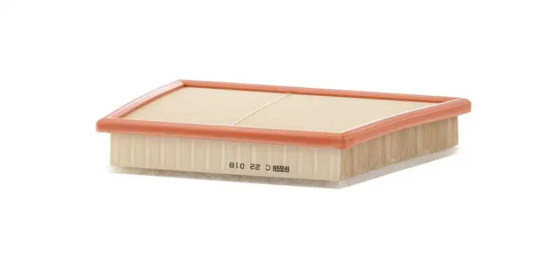 MANN C22018 Hava Filtresi 13718513944 resmi