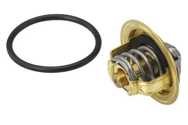 WAHLER 410396.82D Termostat 03L121113A resmi