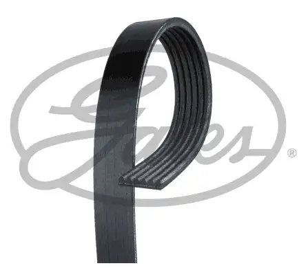 GATES ROADMAX 1670K6 Kayış resmi