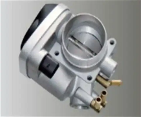 MAGNETI MARELLI 359000602540 Gaz Kelebeği 06A133062AB resmi