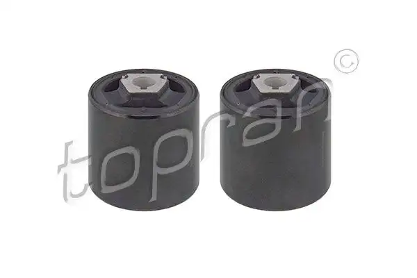 TOPRAN 501038001 Salıncak Burcu 31120307882 resmi