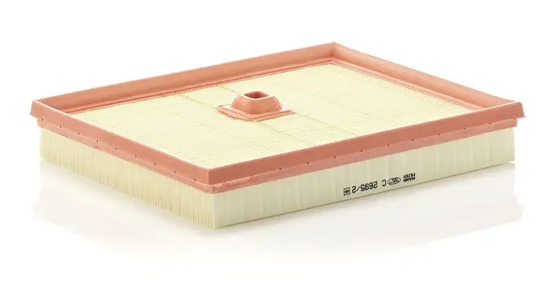 MANN C2695/2 Hava Filtresi A1370940104 resmi