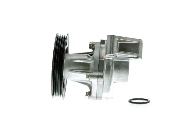 AISIN WPT-011 Devirdaim 1610019225 resmi