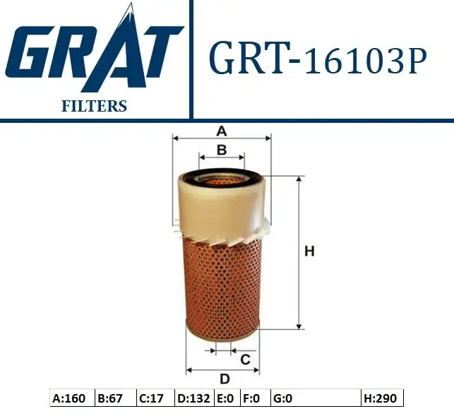 GRAT 16103P Hava Filtresi MD603446 resmi