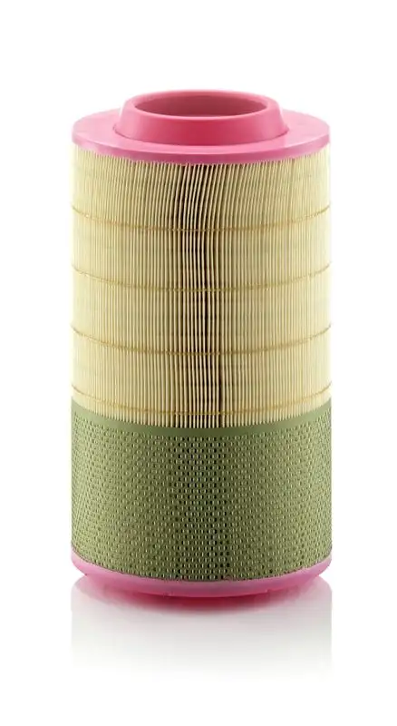 MANN C25950/1 Hava Filtresi resmi