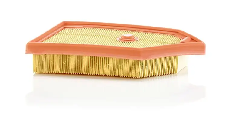 MANN C26040 Hava Filtresi resmi