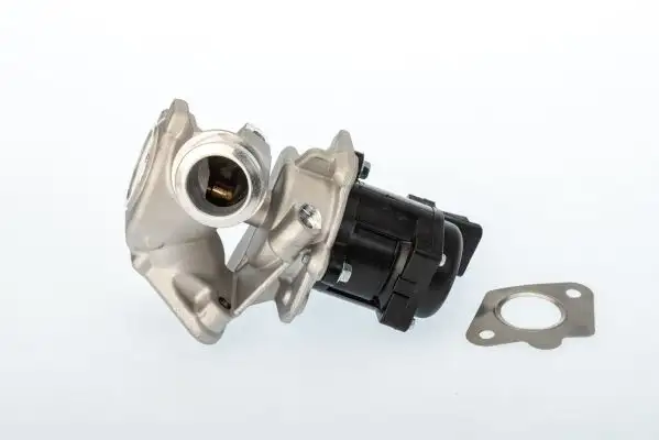 WAHLER 711020D EGR Valfi 11717804950 resmi