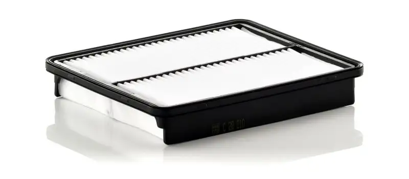 MANN C28010 Hava Filtresi 281132P100 resmi