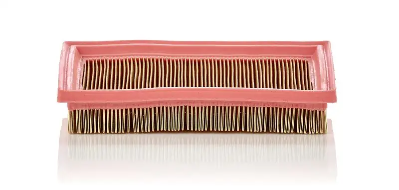 MANN C2244 Hava Filtresi resmi