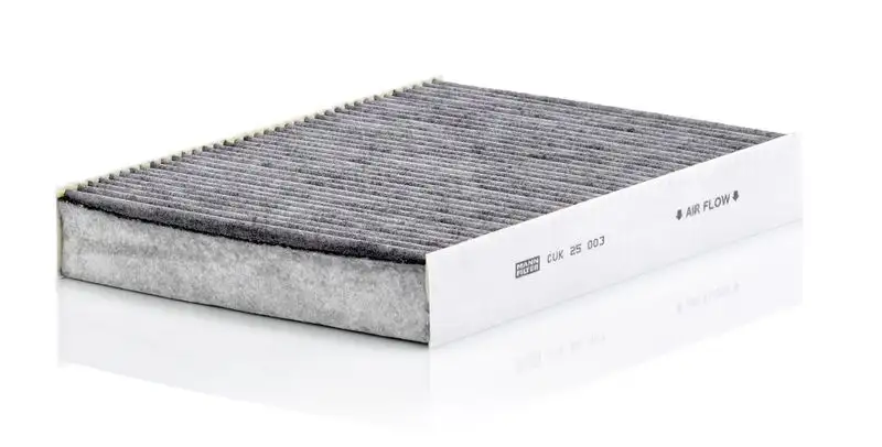 MANN CUK25003 Polen Filtresi (Karbonlu) 272774BR0A resmi