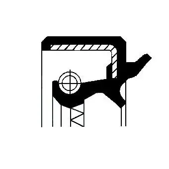 CORTECO 12011175B (82011175) Aks Keçesi resmi