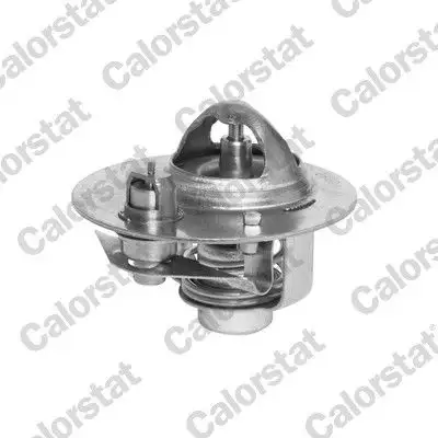 CALORSTAT VERNET TH5980.88J Termostat resmi