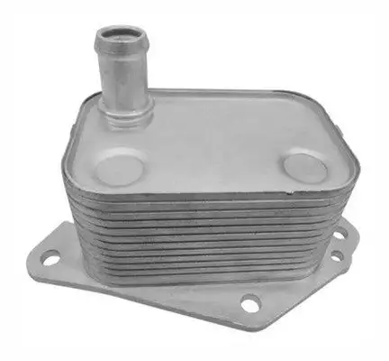 MAGNETI MARELLI 359001602340 Şanzıman Yağ Soğutucu 264102A501 resmi