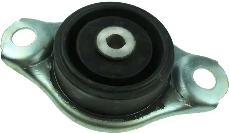 RAPRO R53135/O Şanzıman Takozu 51792760 resmi