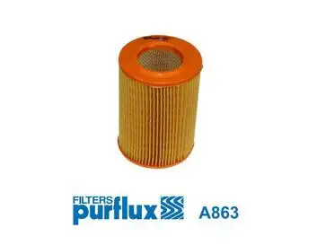 PURFLUX A863 Hava Filtresi resmi