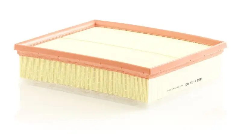 MANN C29034 Hava Filtresi 6C0129620A resmi