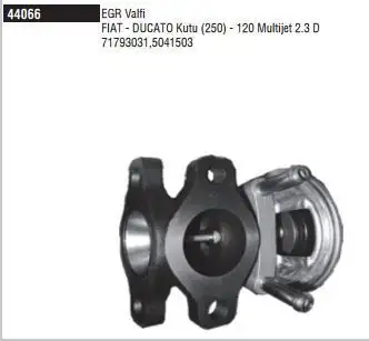 DODUCO 44066 EGR Valfi 504150396 resmi