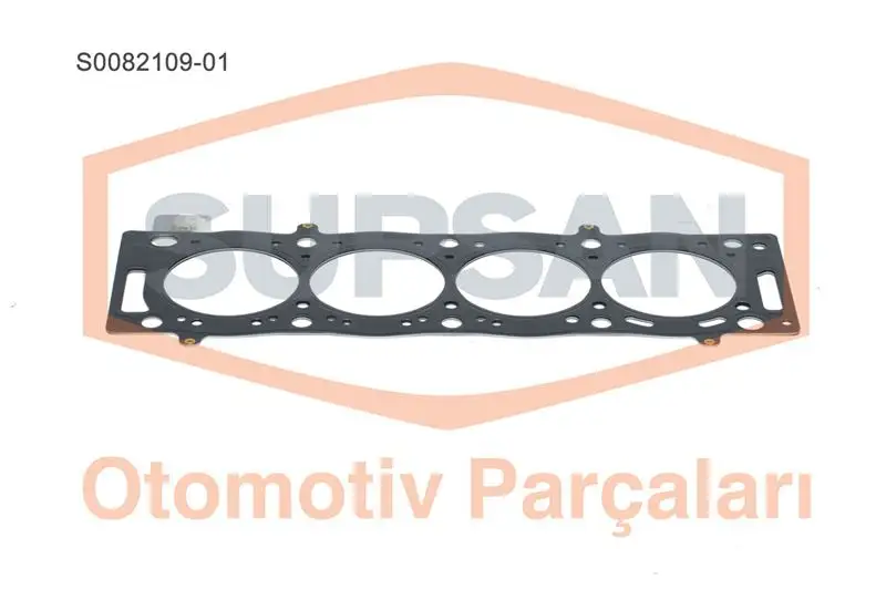 SUPSAN S0082109-01 Silindir Kapak Contası 0209X5 resmi