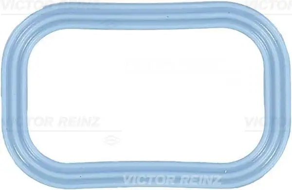 VICTOR REINZ 71-35539-00 Emme Manifold Contası resmi