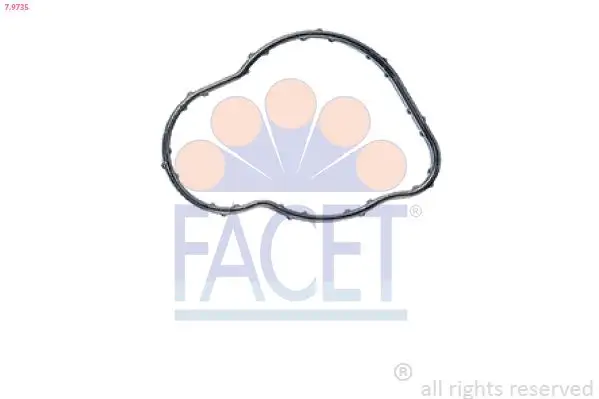 FACET 7.9735 Termostat Contası resmi