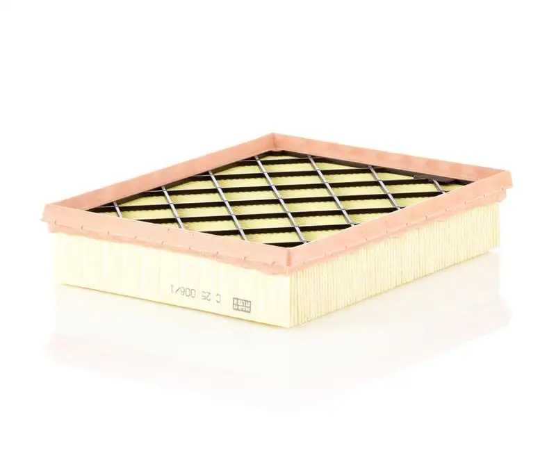 MANN C25008/1 Hava Filtresi DS739601AC resmi