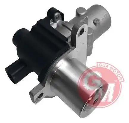 GUA 41225 EGR Valfi resmi