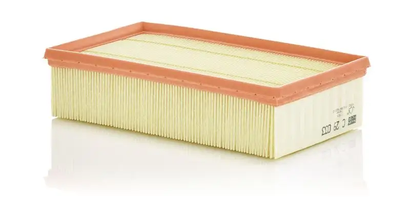 MANN C29033 Hava Filtresi 165466515R resmi