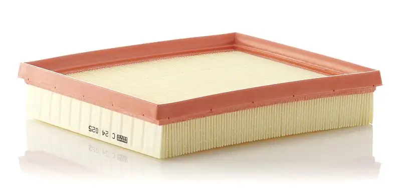 MANN C24025 Hava Filtresi 13718507320 resmi