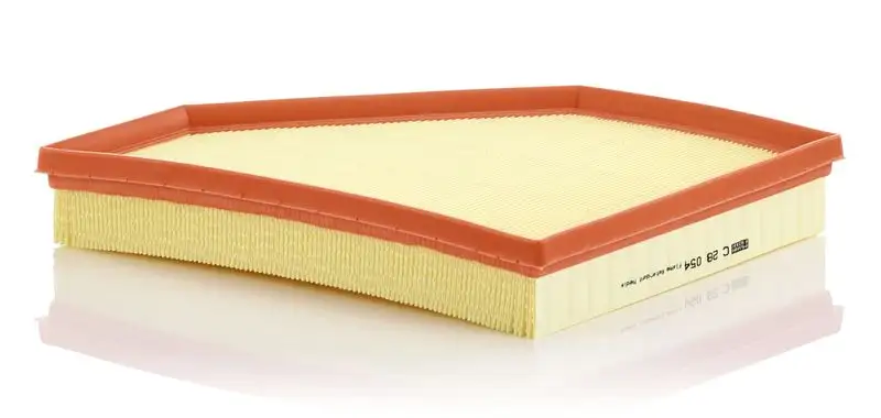 MANN C28054 Hava Filtresi 17801WAA02 resmi