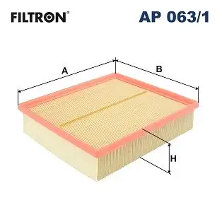 FILTRON AP063/1 Hava Filtresi resmi